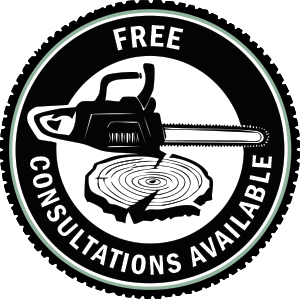 Free Consultations Available